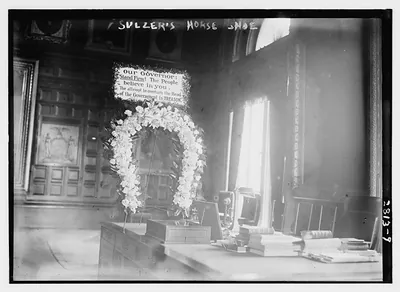 Sulzer's horse shoe