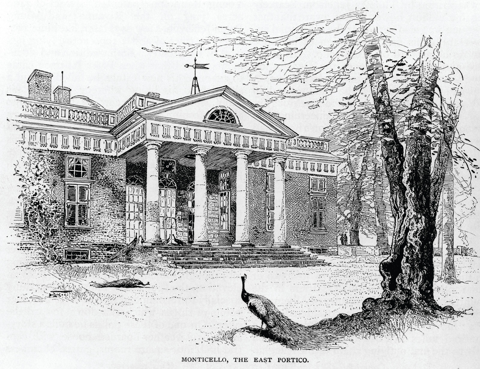 Monticello, The East Portico, c. 1887 — antique engraving