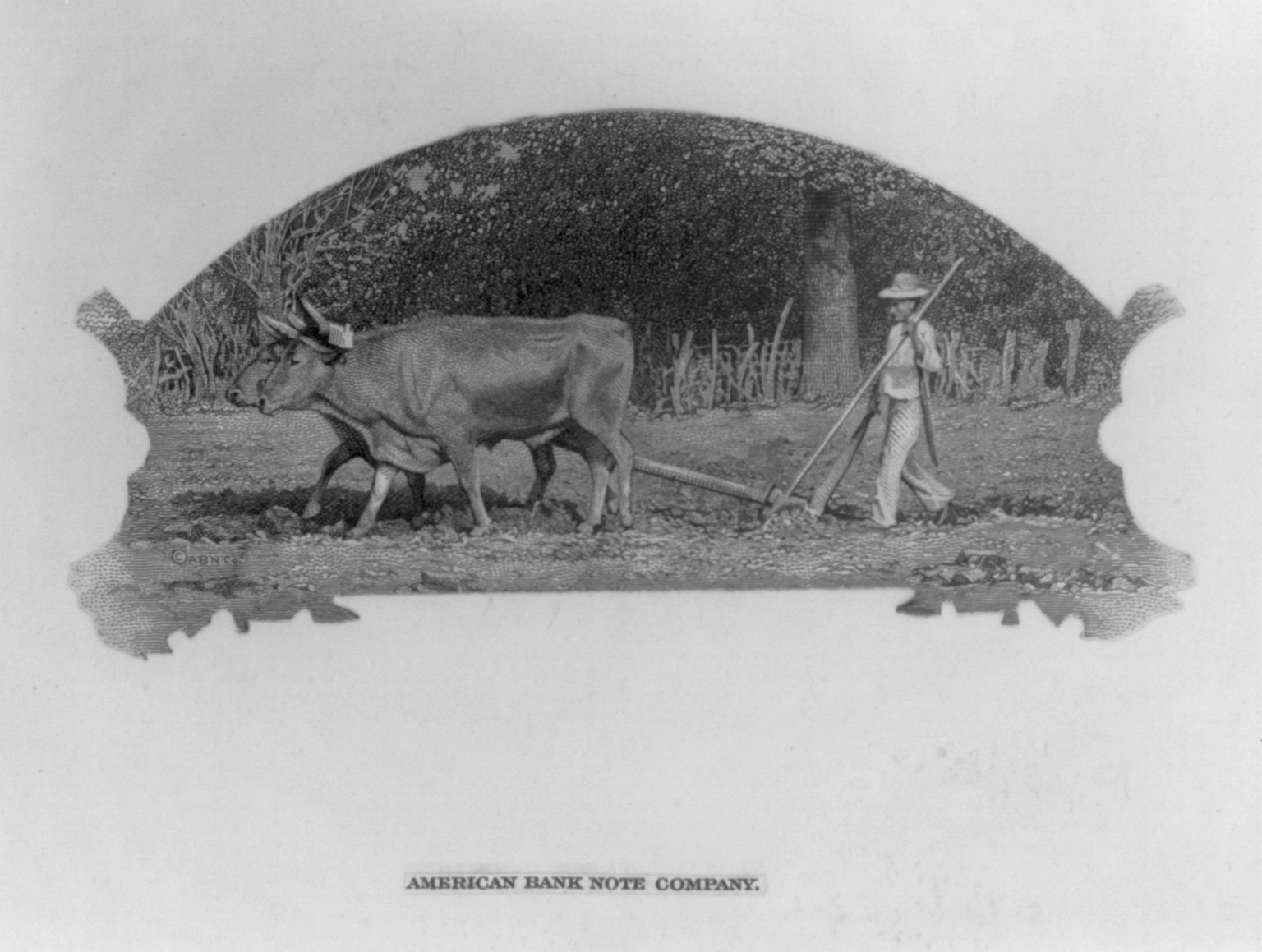 [Plowing with team of oxen], [no date recorded on caption card] — antique engraving