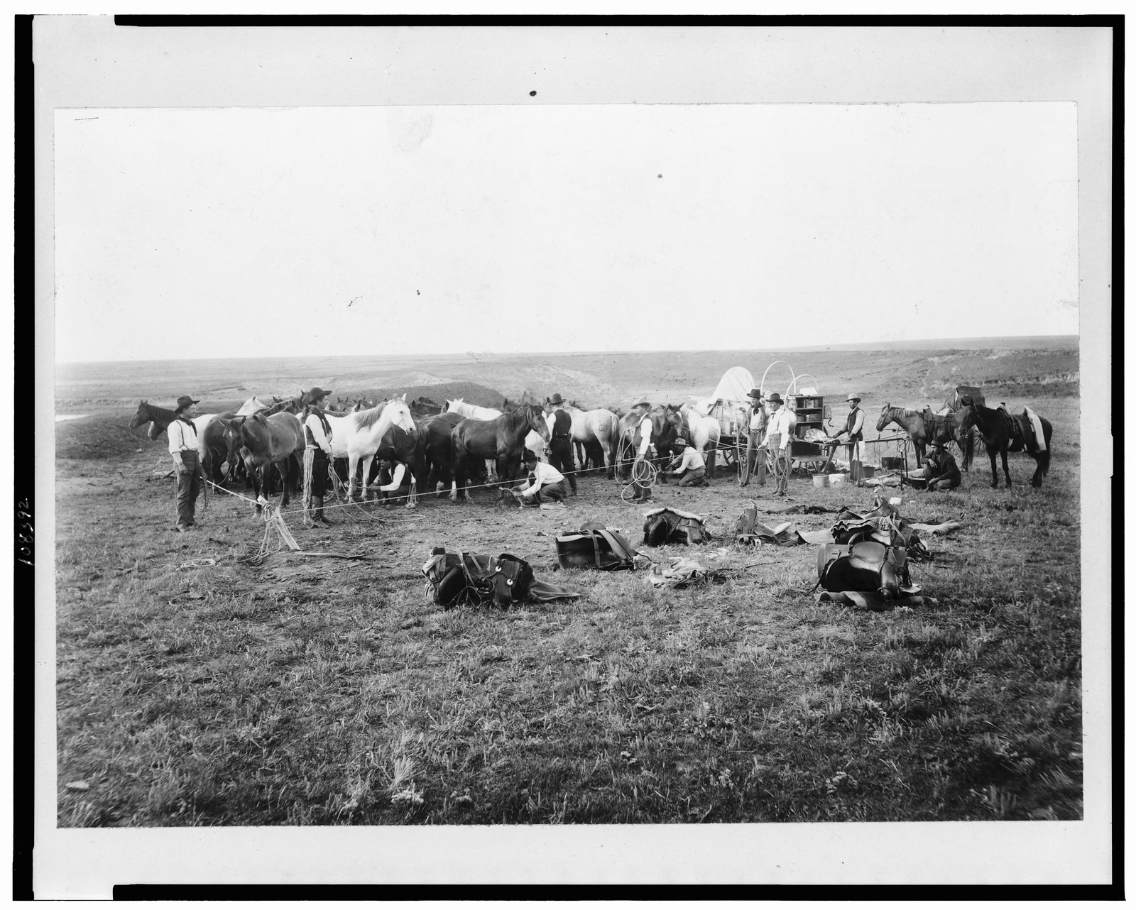 [Cowboys hobbling horses], c1906. — historic photograph
