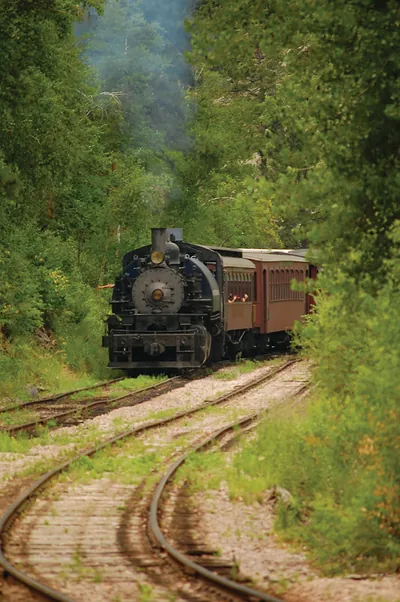 Steam locomotive pulling passenger cars through green forest