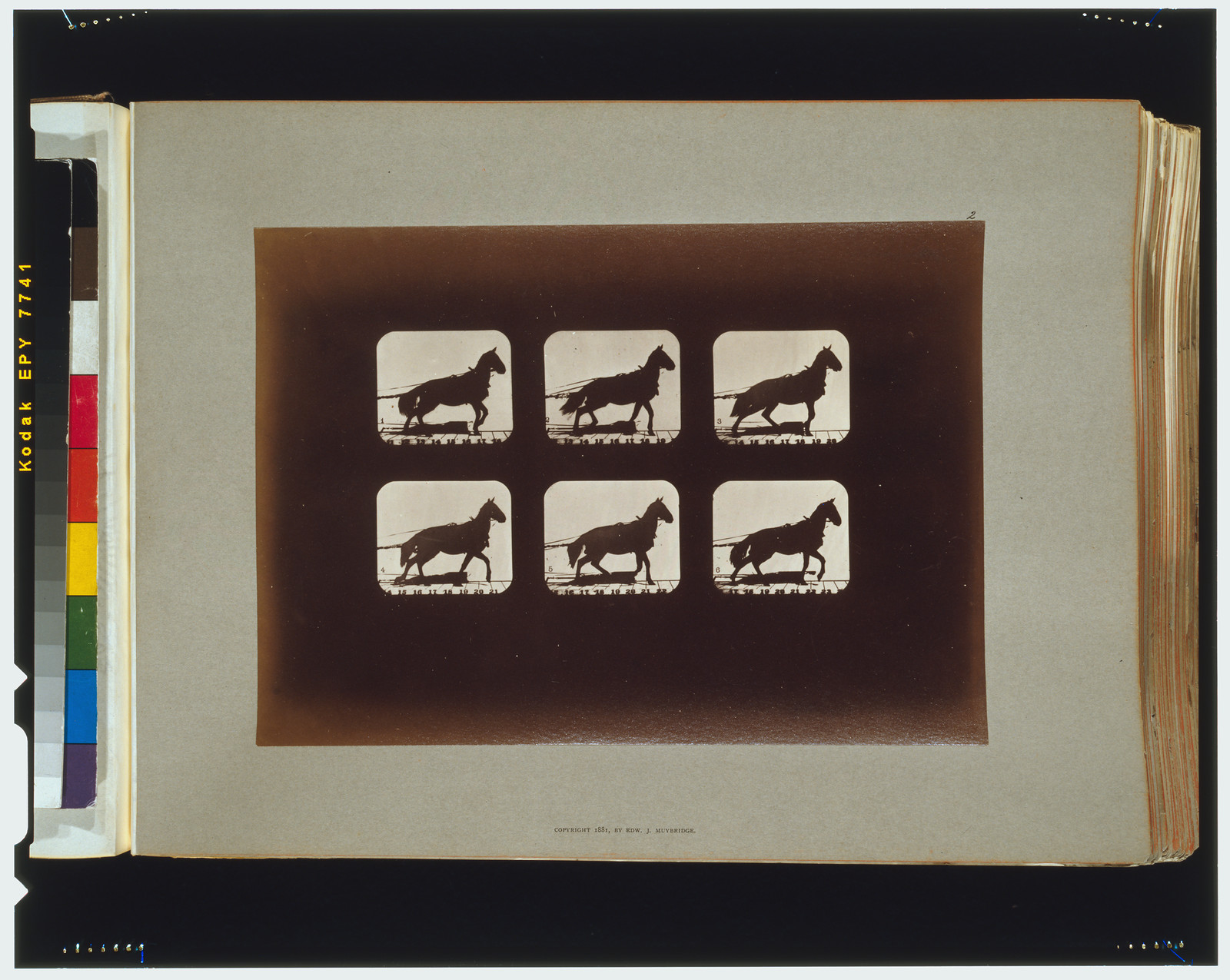Horses. Hauling, [San Francisco] : Muybridge, c1881. — historic photograph
