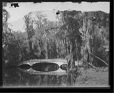 [Bridge and waterfront, Magnolia Gardens, Charleston, S.C.]