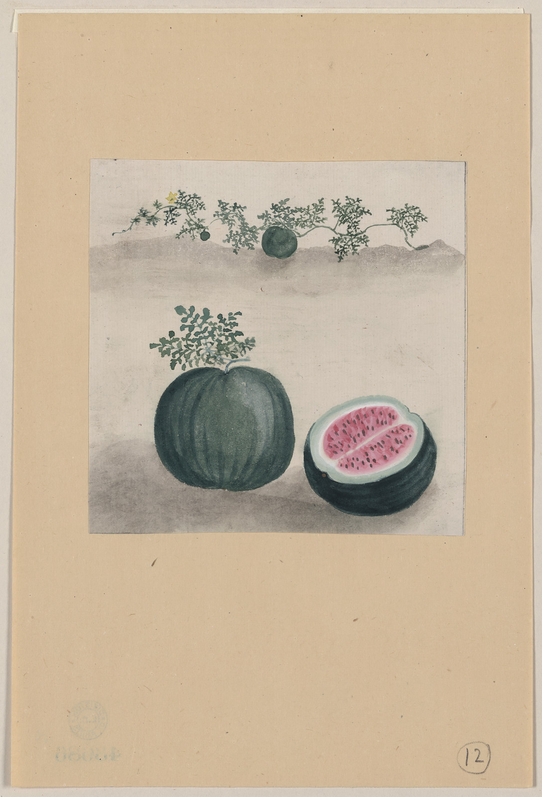 [Japanese drawing], 1750 — historic drawing