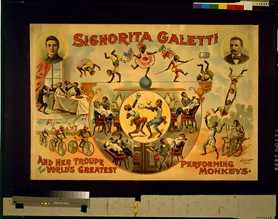 Signorita Galetti and her troupe of the world's greatest performing monkeys