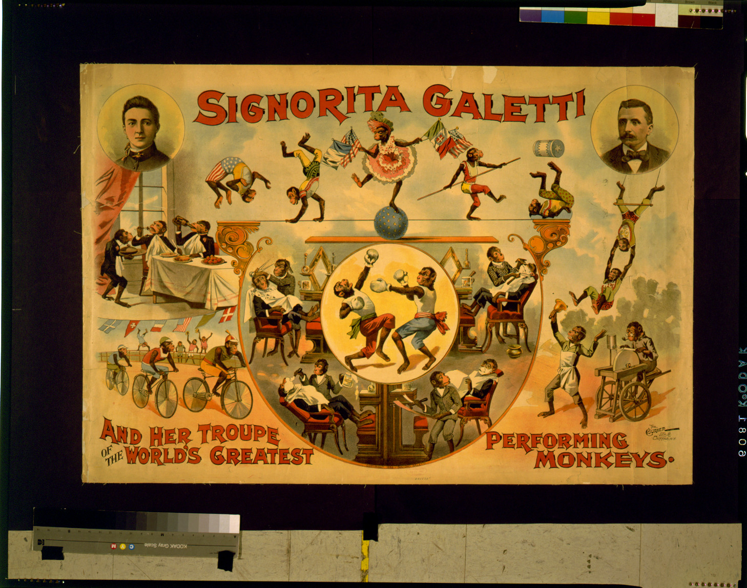 Signorita Galetti and her troupe of the world's greatest performing monkeys, Buffalo, N.Y. : Courier Lith. Co., c1892. — vintage poster