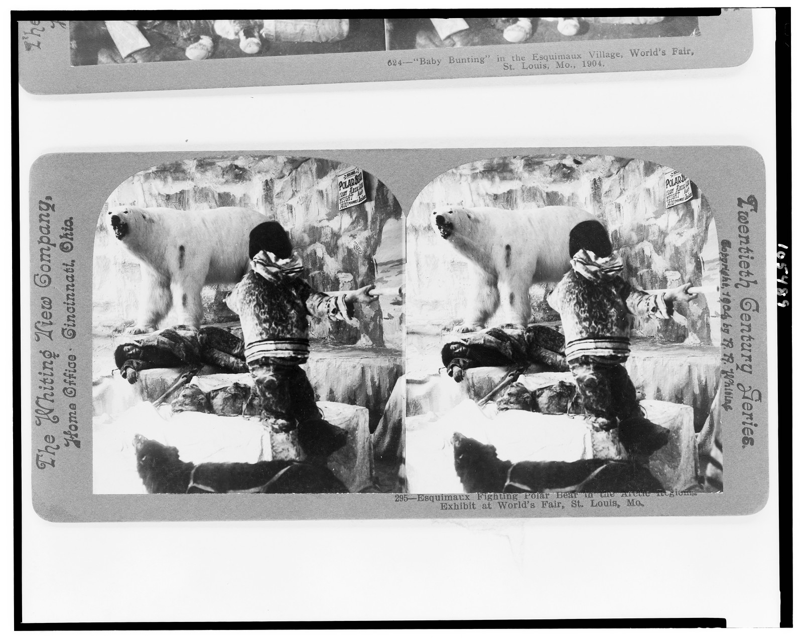 Esquimaux fighting polar bear in the Arctic regions exhibit at World's Fair, St. Louis, Mo., Cincinnati, Ohio : The Whiting View Company, c1904. — historic photograph