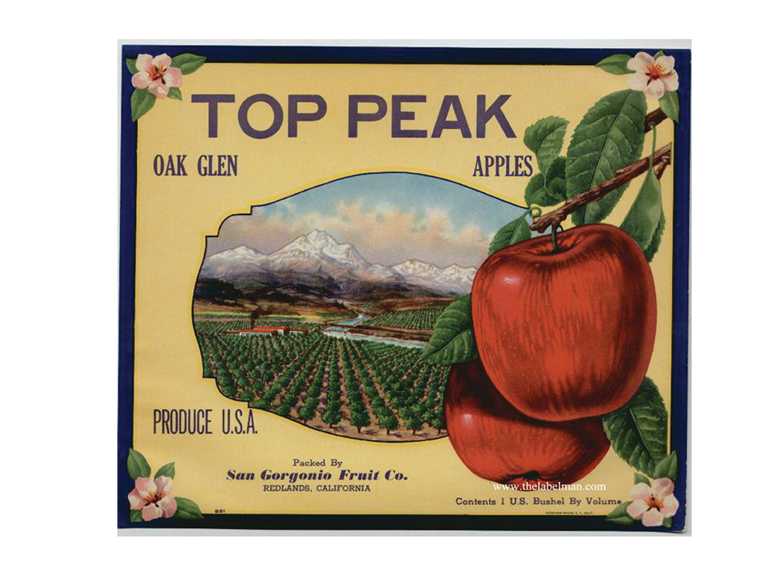 Top Peak Oak Glen Apples crate label — historic image