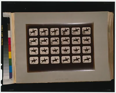 Horses. Leaping a 3 ft. 6 hurdle
