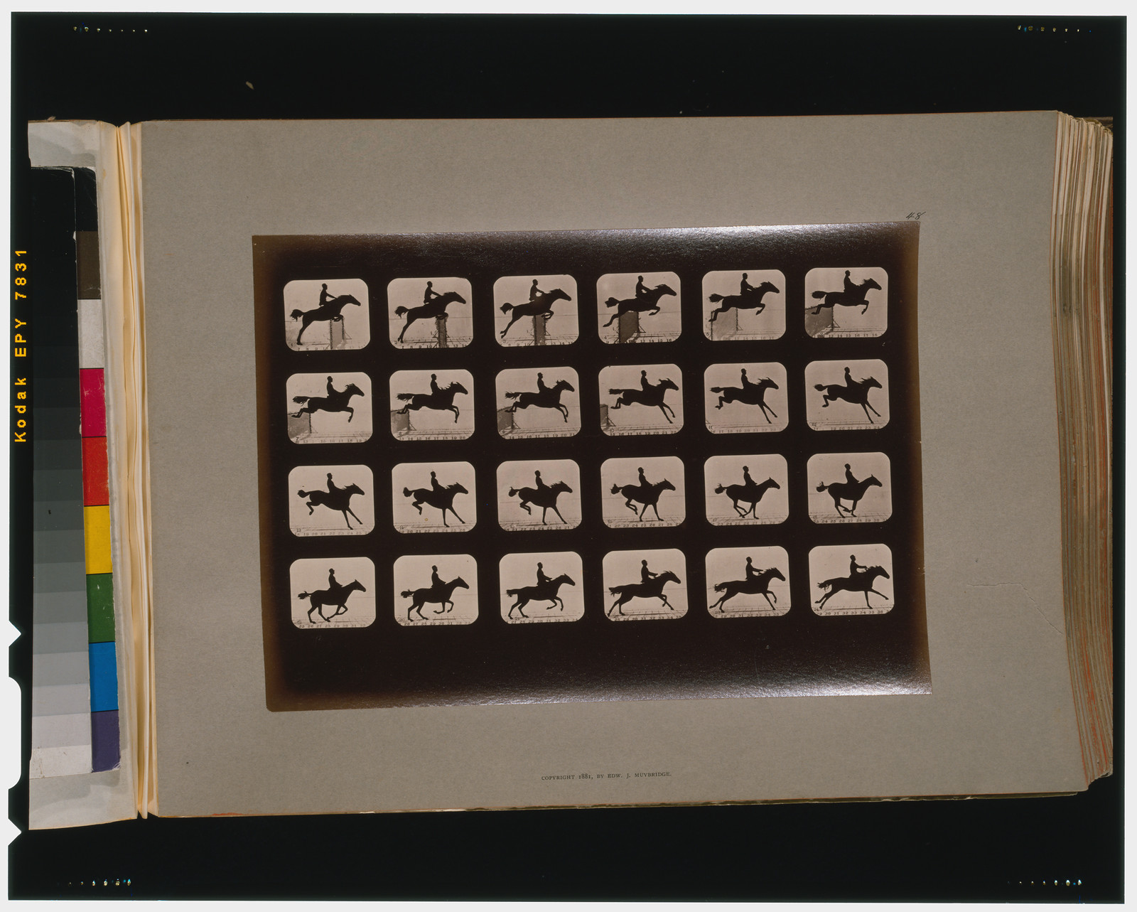 Horses. Leaping a 3 ft. 6 hurdle, [San Francisco] : Muybridge, c1881. — historic photograph