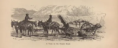 A Team on the French Broad