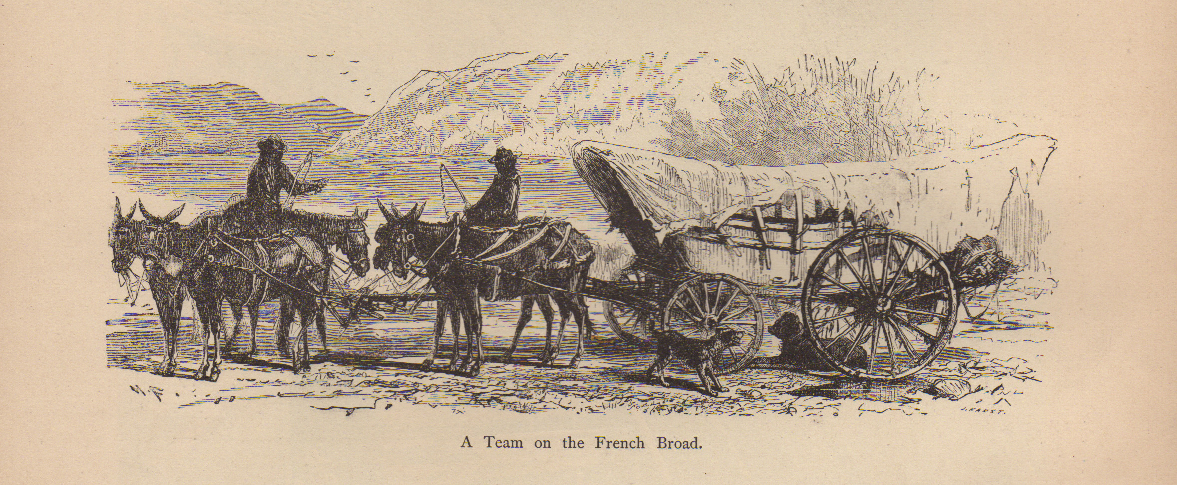A Team on the French Broad — historic image
