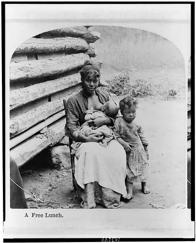 A free lunch / Geo. Barker photographer Niagara Falls New York.
