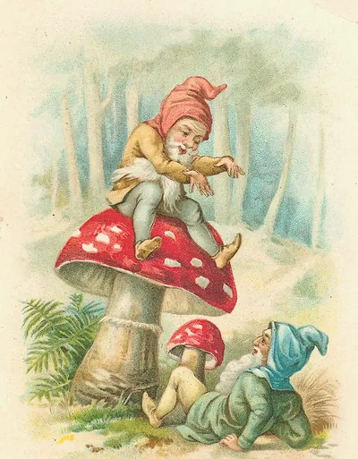 Two gnomes on toadstools in a woodland scene