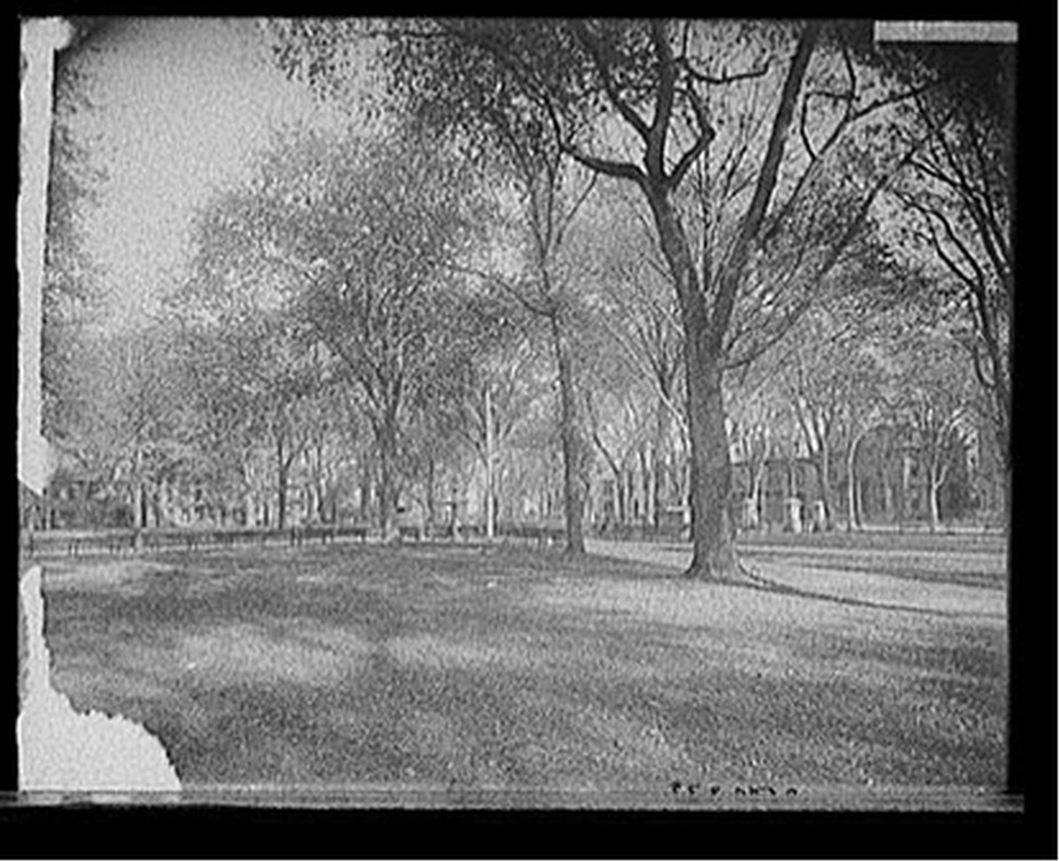 [Lincoln Park, Portland, Maine], [between 1910 and 1920] — historic photograph