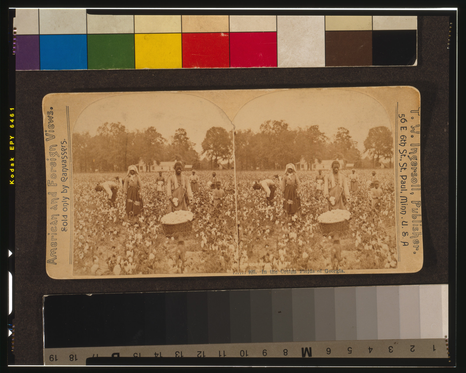 In the cotton fields of Georgia, St. Paul, Minn. : T.W. Ingersoll, 1897, c1898. — historic photograph