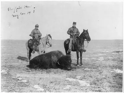 [Two men on horseback with rifles, over dead buffalo]