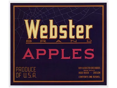 Webster Brand Apples crate label, Hood River, Oregon