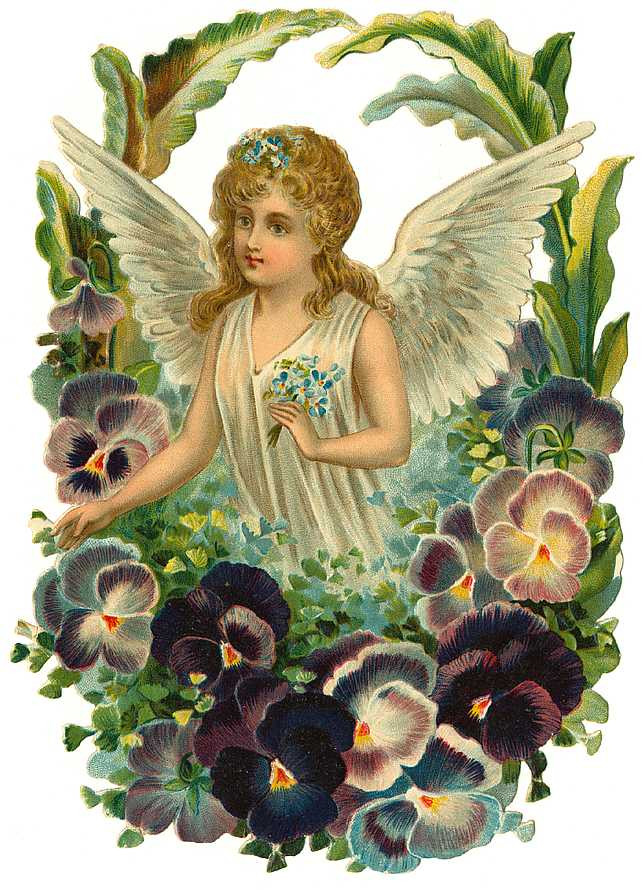 Winged child angel among pansies, chromolithographed scrap — antique lithograph