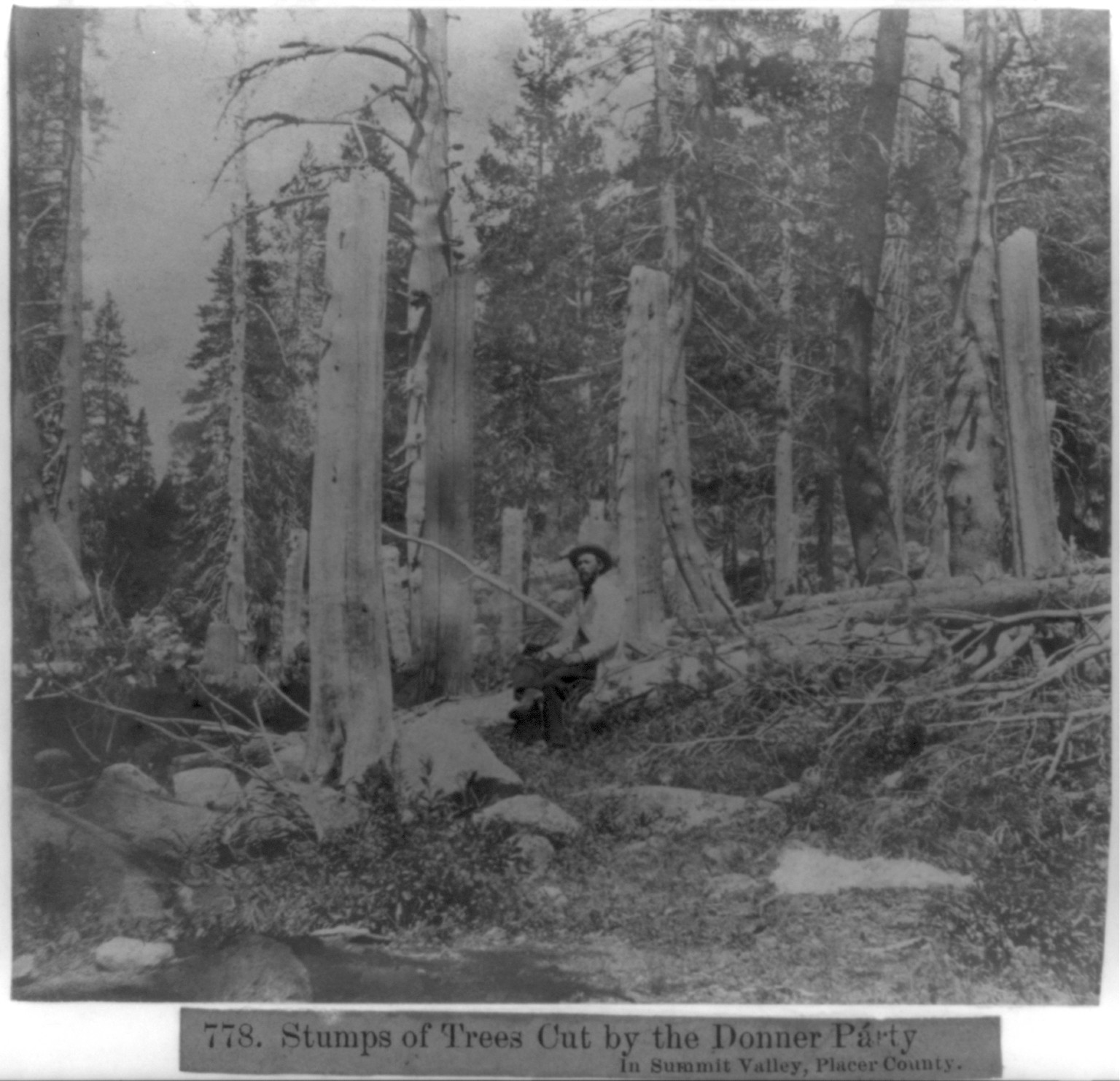 Stumps of trees cut by the Donner Party in Summit Valley, Placer County, [published 1866] — historic photograph