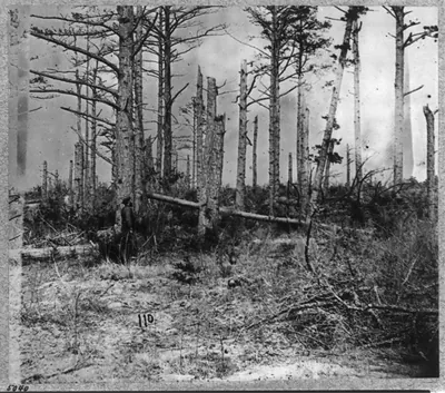 Confederate Entrenchments near junction of old and new Court House Roads, [Spotsylvania, Virginia]